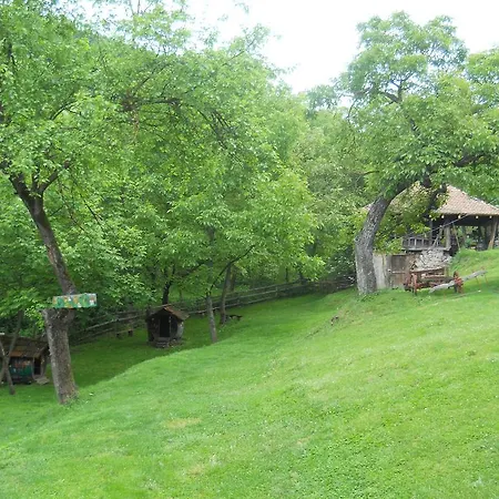 Ethno Village Slatkovac *