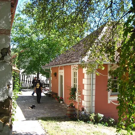 Guest house Ethno Village Slatkovac Aleksandrovac