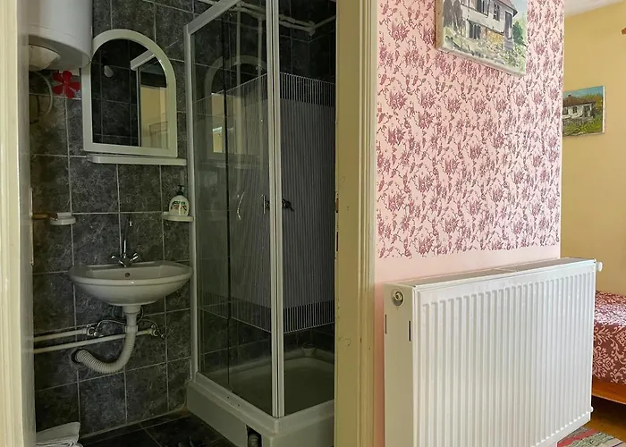 Pensjonat Ethno Village Slatkovac *