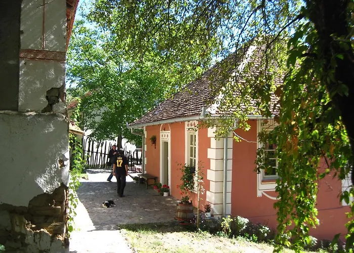 Pensjonat Ethno Village Slatkovac Aleksandrovac